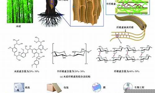 木质纤维素就是木质素吗(木质纤维素就是木质素吗为什么)_https://www.dongshengweixin.com_创业板_第1张