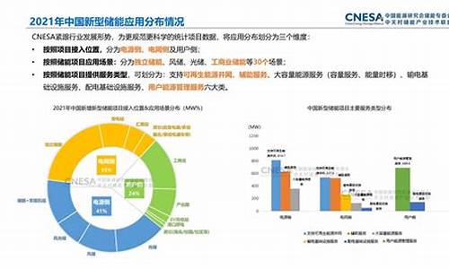 储能产业发展研究报告(储能行业研究报告)_https://www.dongshengweixin.com_科创板_第1张