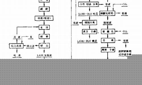 碳酸锂生产工艺流程图(碳酸锂生产工艺及方法)_https://www.dongshengweixin.com_深交所_第1张