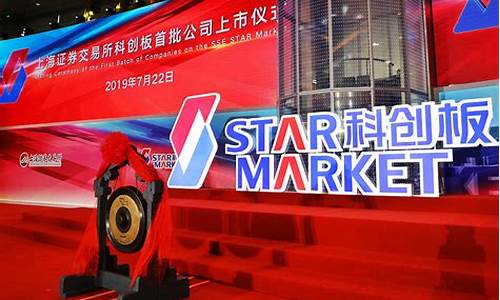 2020年科创板上市时间(2020年科创板发行价)_https://www.dongshengweixin.com_上交所_第1张