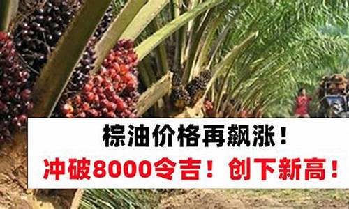 今天期货行情棕油价格表(今天期货行情棕油价格表最新)_https://www.dongshengweixin.com_深交所_第1张