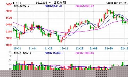 pc期货价格实时行情走势(铁矿石期货实时行情走势)_https://www.dongshengweixin.com_创业板_第1张