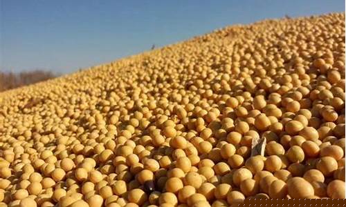 东北大豆期货价格最新行情(东北大豆期货价格最新行情分析)_https://www.dongshengweixin.com_科创板_第1张
