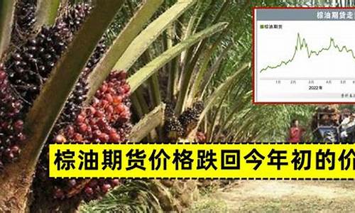 今年棕油期货行情(今年棕油期货行情走势)_https://www.dongshengweixin.com_深交所_第1张