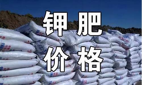 最新国际钾肥期货行情走势图(国际钾肥巨头)_https://www.dongshengweixin.com_科创板_第1张