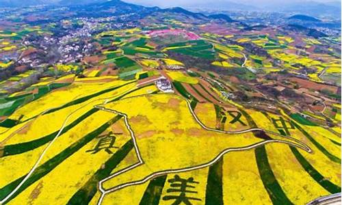 汉中原油直播间(汉中原油直播间在哪)_https://www.dongshengweixin.com_科创板_第1张