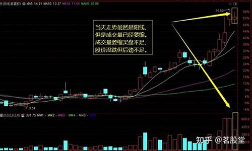 小白玩转股票投资_https://www.dongshengweixin.com_深交所_第1张