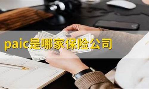 PAIC是哪个保险公司简称(保险公司pa是什么意思)_https://www.dongshengweixin.com_科创板_第1张
