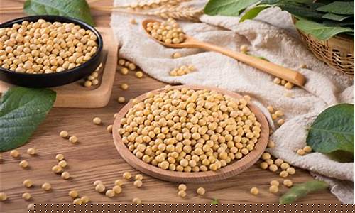 大豆期货直播间(大豆期货直播间是真的吗)_https://www.dongshengweixin.com_创业板_第1张