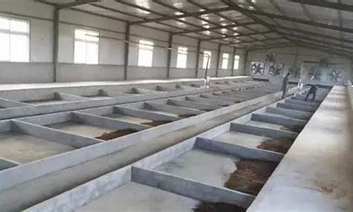 小型猪场猪粪处理方法(小型猪场猪粪处理方法有哪些)_https://www.dongshengweixin.com_北交所_第1张