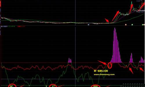 主升浪财经直播(零点财经从周线分析主升浪)_https://www.dongshengweixin.com_上交所_第1张