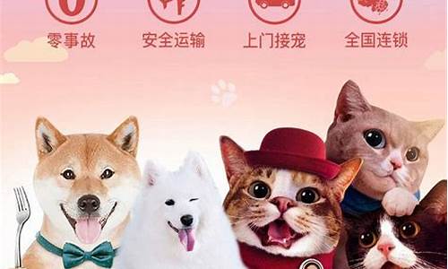 12306宠物托运查询(宠物托运平台哪个便宜)_https://www.dongshengweixin.com_上交所_第1张