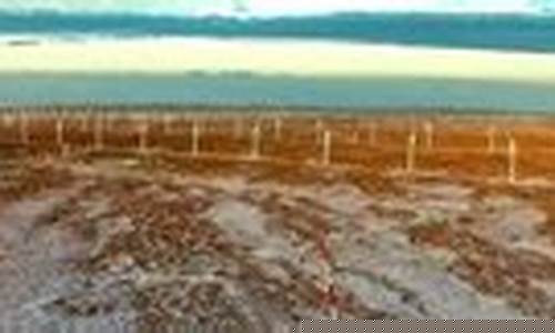 中国电建2023年目标价(中国电建2021目标价)_深交所_第1张_财经网 中国电建2023年目标价(中国电建2021目标价)_https://www.dongshengweixin.com_深交所_第1张